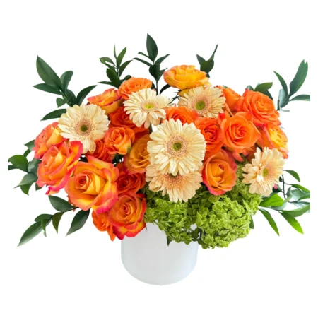 Citrus Bloom Delight