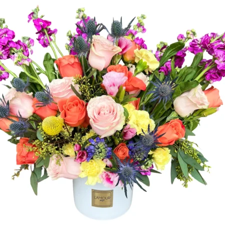Colorburst Garden