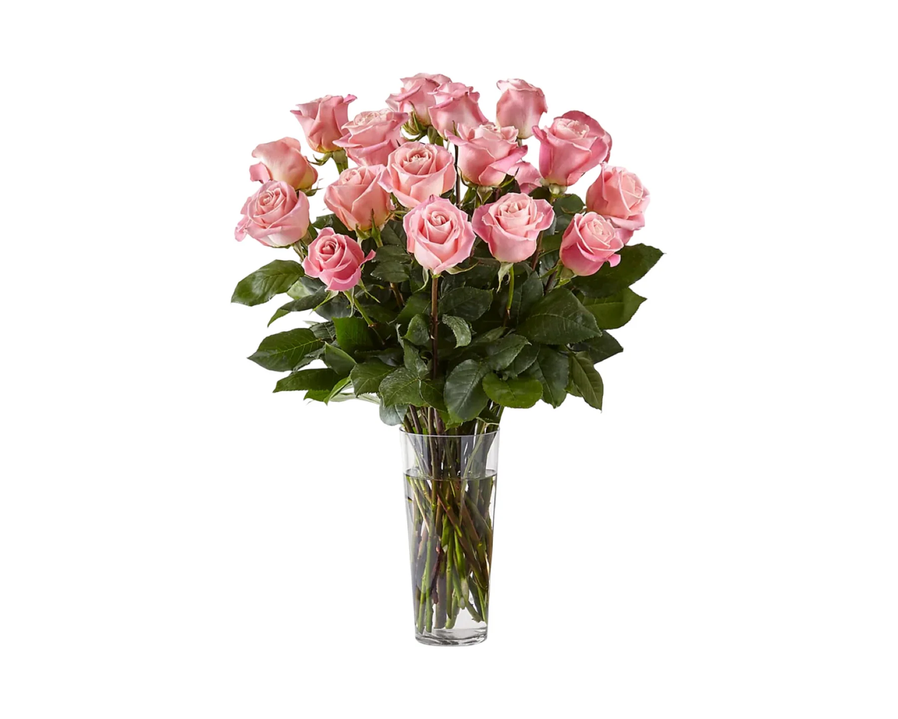 Eighteen Pink Roses in Glass Vase