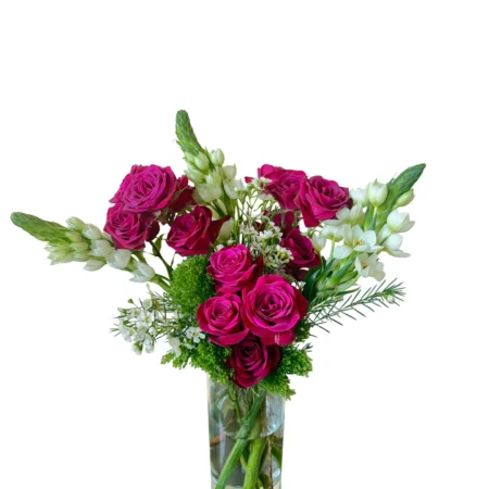 Fuchsia Charm