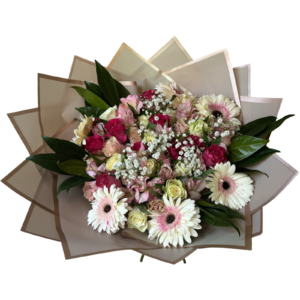 An elegant hand-tied bouquet featuring a soft and romantic palette of blush, cream, and raspberry hues, wrapped in layered beige cellophane. The arrangement includes cream gerbera daisies with pink centers, pink alstroemeria, red and blush roses, pale green roses, baby’s breath, and rich green salal leaves. This bouquet is perfect for classic gifting moments and graceful celebrations.