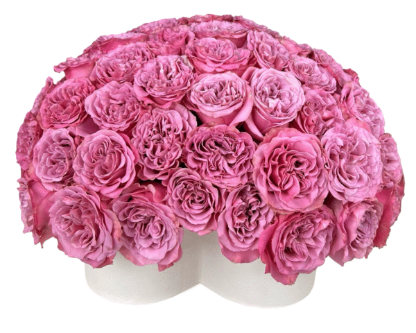 A lavish dome-shaped arrangement composed entirely of pink garden roses, neatly arranged in a tight, symmetrical pattern atop a white heart-shaped hat box. The uniform presentation and rich texture of the ruffled petals create an ultra-romantic, couture floral display—perfect for luxury gifting, love declarations, and unforgettable moments.