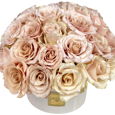 A chic and monochromatic dome of champagne-toned roses arranged tightly in a round white hatbox from L’amour Designs. The subtle blush-beige hues and clean silhouette give this design a modern, understated elegance—perfect for minimalist aesthetics, luxury gifting, or romantic gestures.