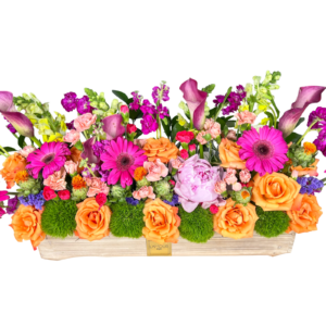A lively and colorful rectangular floral centerpiece arranged in a light wooden L’amour Designs planter. This vibrant design includes orange roses, hot pink gerbera daisies, lavender calla lilies, pale pink carnations, purple stock, yellow snapdragons, pink peonies, lime green moss balls, purple statice, and assorted wildflower accents. A cheerful and celebratory piece perfect for festive gatherings or joyful gifting.