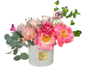 Coral Bloom Elegance