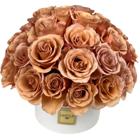 Mocha Rose Luxe