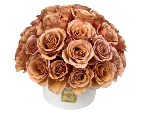 Mocha Rose Luxe