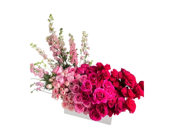 Ombré Amour