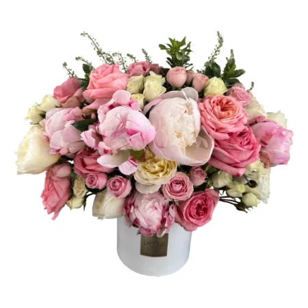 Peony Kissed Elegance