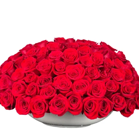 Royal Rose Dome