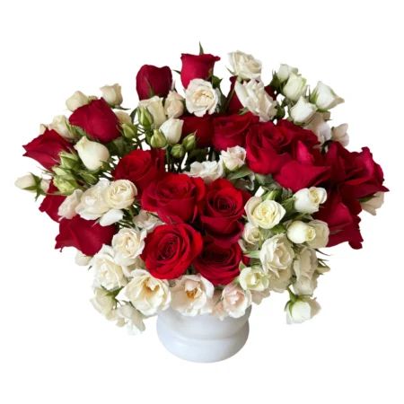 Scarlet Whisper – Red & White Rose Dome