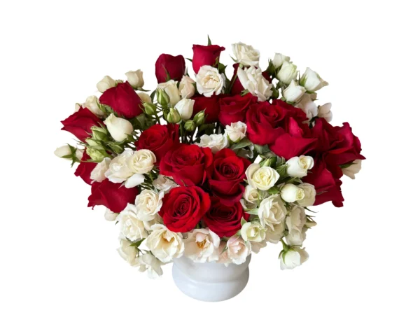 Scarlet Whisper – Red & White Rose Dome
