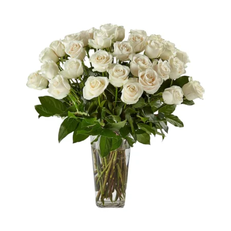 Thirty White Roses in Glass Vase
