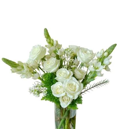 Whispers of Purity